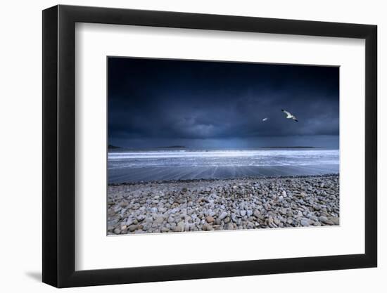 Musical Nature-Philippe Sainte-Laudy-Framed Photographic Print