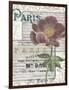 Musical Paris I-Jennifer Goldberger-Framed Art Print