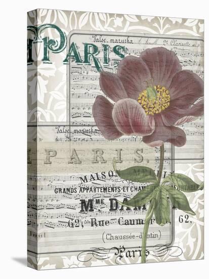 Musical Paris I-Jennifer Goldberger-Stretched Canvas