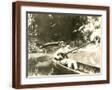 Brown Frame
