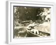 White Frame
