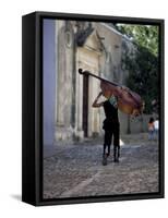 Musician Carrying Double Bass Along Cobbled Street to Plaza Mayor, Trinidad, Cuba-Lee Frost-Framed Stretched Canvas