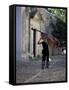 Musician Carrying Double Bass Along Cobbled Street to Plaza Mayor, Trinidad, Cuba-Lee Frost-Framed Stretched Canvas