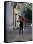 Musician Carrying Double Bass Along Cobbled Street to Plaza Mayor, Trinidad, Cuba-Lee Frost-Framed Stretched Canvas