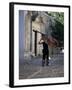 Musician Carrying Double Bass Along Cobbled Street to Plaza Mayor, Trinidad, Cuba-Lee Frost-Framed Photographic Print