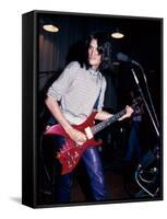 Musician Joe Perry Performing-David Mcgough-Framed Stretched Canvas