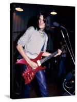 Musician Joe Perry Performing-David Mcgough-Stretched Canvas