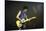 Musician Keith Richards Performing-David Mcgough-Mounted Premium Photographic Print