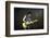 Musician Keith Richards Performing-David Mcgough-Framed Photographic Print