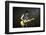 Musician Keith Richards Performing-David Mcgough-Framed Photographic Print