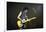 Musician Keith Richards Performing-David Mcgough-Framed Photographic Print