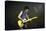 Musician Keith Richards Performing-David Mcgough-Stretched Canvas