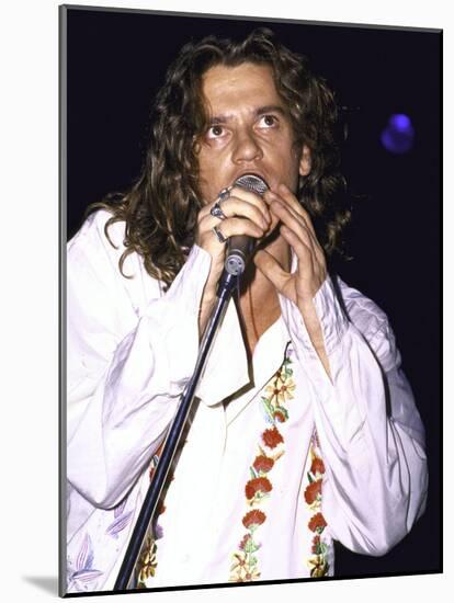 Musician Michael Hutchence of Rock Group Inxs Performing-David Mcgough-Mounted Premium Photographic Print