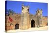 Musician Outside Bab Zaer, the Main Gate, Chellah, Rabat, Morocco, North Africa-Neil Farrin-Stretched Canvas