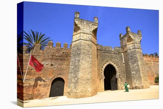 Musician Outside Bab Zaer, the Main Gate, Chellah, Rabat, Morocco, North Africa-Neil Farrin-Stretched Canvas