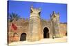Musician Outside Bab Zaer, the Main Gate, Chellah, Rabat, Morocco, North Africa-Neil Farrin-Stretched Canvas