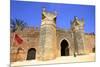 Musician Outside Bab Zaer, the Main Gate, Chellah, Rabat, Morocco, North Africa-Neil Farrin-Mounted Photographic Print