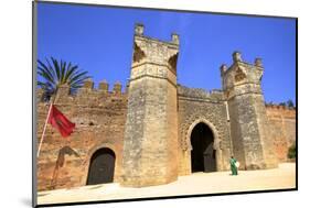 Musician Outside Bab Zaer, the Main Gate, Chellah, Rabat, Morocco, North Africa-Neil Farrin-Mounted Photographic Print