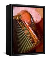 Musician Playing Accordion for Turkish Dancers, Turkey-Darrell Gulin-Framed Stretched Canvas