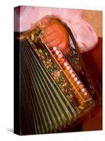 Musician Playing Accordion for Turkish Dancers, Turkey-Darrell Gulin-Stretched Canvas