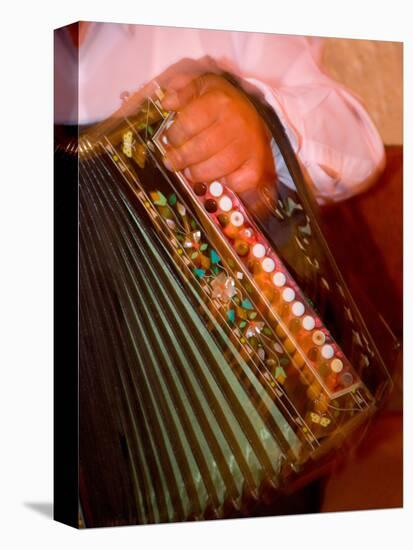 Musician Playing Accordion for Turkish Dancers, Turkey-Darrell Gulin-Stretched Canvas