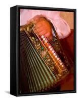 Musician Playing Accordion for Turkish Dancers, Turkey-Darrell Gulin-Framed Stretched Canvas