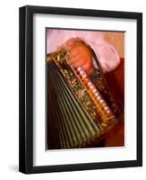 Musician Playing Accordion for Turkish Dancers, Turkey-Darrell Gulin-Framed Premium Photographic Print