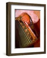 Musician Playing Accordion for Turkish Dancers, Turkey-Darrell Gulin-Framed Photographic Print