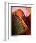 Musician Playing Accordion for Turkish Dancers, Turkey-Darrell Gulin-Framed Photographic Print