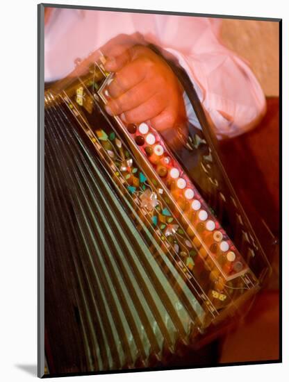 Musician Playing Accordion for Turkish Dancers, Turkey-Darrell Gulin-Mounted Photographic Print
