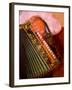 Musician Playing Accordion for Turkish Dancers, Turkey-Darrell Gulin-Framed Photographic Print