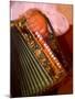 Musician Playing Accordion for Turkish Dancers, Turkey-Darrell Gulin-Mounted Photographic Print