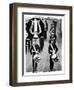 Musician, Royal Marines, 1937-WA & AC Churchman-Framed Giclee Print