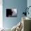 Musician Stephen Stills-Billray-Premium Photographic Print displayed on a wall