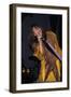 Musician Steven Tyler Performing-Dave Allocca-Framed Photographic Print