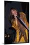 Musician Steven Tyler Performing-Dave Allocca-Mounted Photographic Print