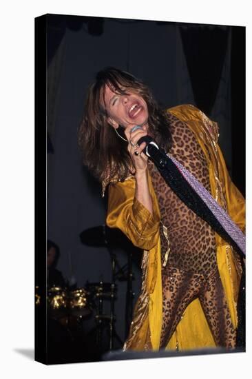 Musician Steven Tyler Performing-Dave Allocca-Stretched Canvas