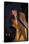 Musician Steven Tyler Performing-Dave Allocca-Framed Stretched Canvas