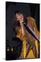 Musician Steven Tyler Performing-Dave Allocca-Stretched Canvas