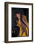 Musician Steven Tyler Performing-Dave Allocca-Framed Photographic Print