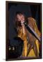 Musician Steven Tyler Performing-Dave Allocca-Framed Photographic Print