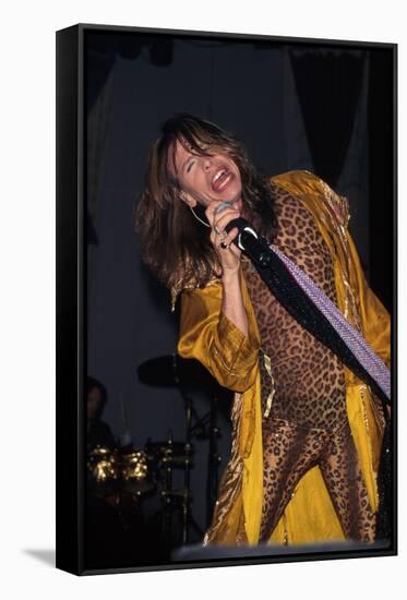 Musician Steven Tyler Performing-Dave Allocca-Framed Stretched Canvas