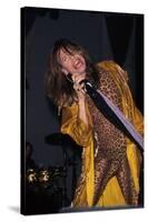 Musician Steven Tyler Performing-Dave Allocca-Stretched Canvas