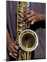 Musicians Hands Playing Saxaphone, New Orleans, Louisiana, USA-Adam Jones-Mounted Premium Photographic Print