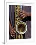 Musicians Hands Playing Saxaphone, New Orleans, Louisiana, USA-Adam Jones-Framed Premium Photographic Print