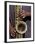 Musicians Hands Playing Saxaphone, New Orleans, Louisiana, USA-Adam Jones-Framed Photographic Print