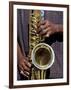 Musicians Hands Playing Saxaphone, New Orleans, Louisiana, USA-Adam Jones-Framed Photographic Print