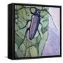 Musk Beetle, 1991-Peter Wilson-Framed Stretched Canvas