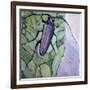 Musk Beetle, 1991-Peter Wilson-Framed Giclee Print