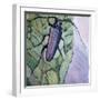 Musk Beetle, 1991-Peter Wilson-Framed Giclee Print